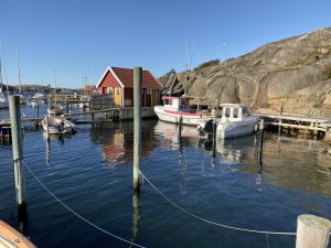 IMG_0257.jpg