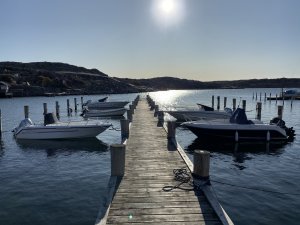 IMG_0258.jpg