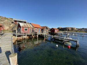 IMG_0259.jpg