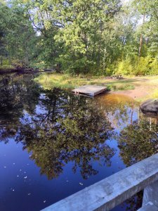 IMG_20190928_150108_DRO_edited.jpeg