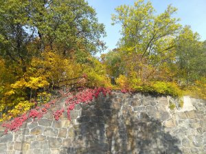 IMG_20191006_120248.jpg