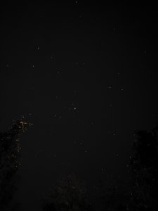 05E79082-EF94-4342-8EB3-6729E254CF93.jpeg