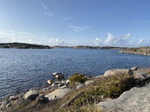 79D6C590-4F38-48B1-A746-6198AB2BCF36.jpeg