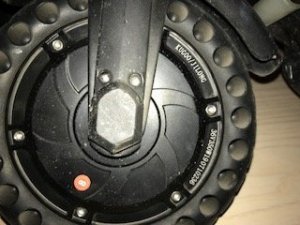 IMG_4805.jpg
