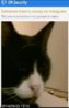 uploadfromtaptalk1421910604586.jpg
