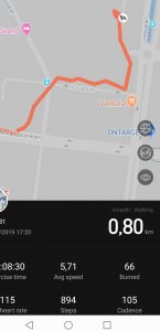 Screenshot_20191016_134759_com.huami.watch.hmwatchmanager-01.jpeg