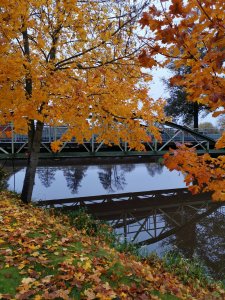 IMG_20191017_114514.jpg