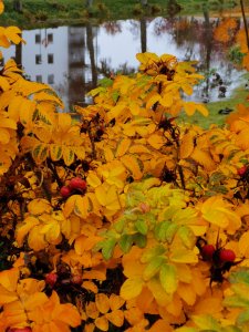 IMG_20191017_114746.jpg