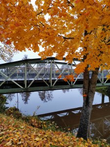 IMG_20191017_114538.jpg