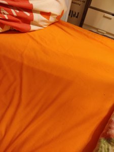 IMG_20191017_162913.jpg