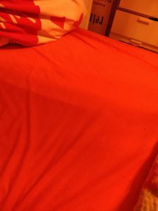 IMG_20191017_162909.jpg