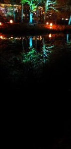 IMG_20191020_192235.jpg