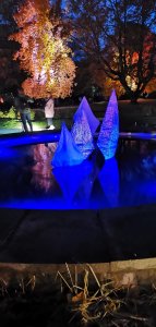 IMG_20191020_185248.jpg