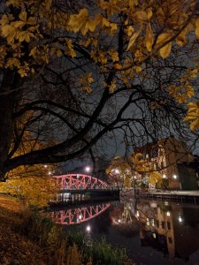 IMG_20191025_010551.jpg