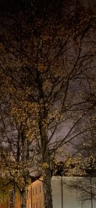 43D9CE98-55D1-443F-BF72-542A8CEDAFD5.png
