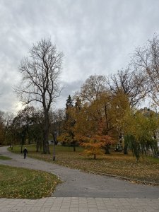 81A11814-5A1F-4203-9E26-539BF60BDA0F.jpeg