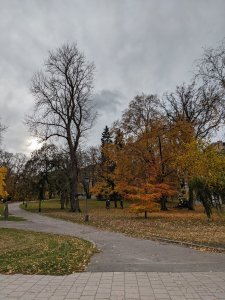 CC20CB57-05C1-4249-BEA5-B62D58B2FD0D.jpeg