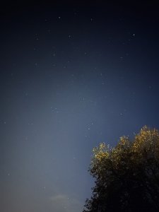 98D95C0B-0A4B-45B9-8C1A-62A5AD9A7543.jpeg
