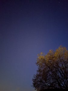 B69427DB-5564-4466-B806-E47EEAA0E5A9.jpeg