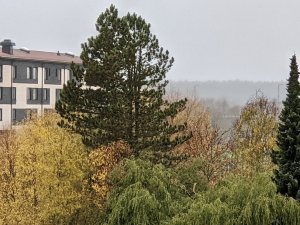 0C9C5DBD-C637-4346-A03E-1F26DD8E84AB.jpeg