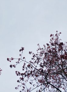 41A654D3-DDC3-4114-A022-37B4BD47F286.jpeg