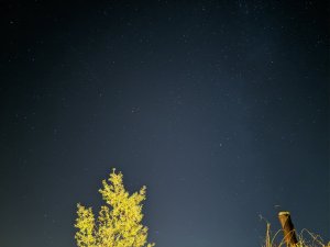 IMG_20191029_200447.jpg