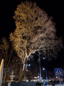 IMG_20191031_173442.jpg