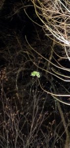 Screenshot_20191031-214607_Photos.jpg