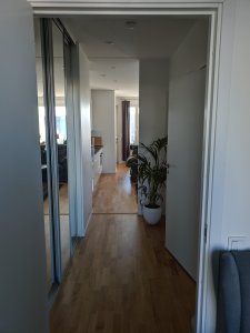 IMG_20191031_124709.jpg