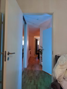 IMG_20191104_162606.jpg