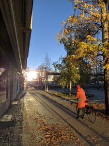 IMG_20191105_144434_sRGB+b1.jpg