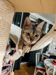 IMG_20191108_174738.jpg