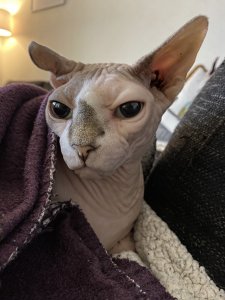 C0596500-2215-4C2C-9E5B-3E6C7CC96F6D.jpeg