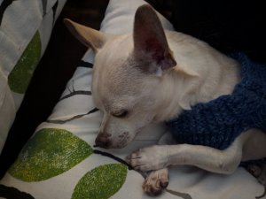 IMG_20191117_183233.jpg