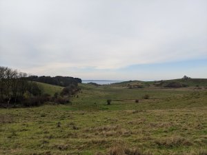 IMG_20191117_113245.jpg