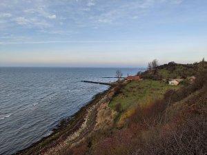 IMG_20191117_110344.jpg