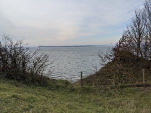 IMG_20191117_110652.jpg