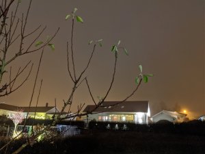 IMG_20191127_170659.jpg
