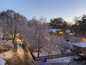 IMG_2288.JPG