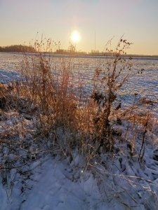 IMG_20191130_140945.jpg