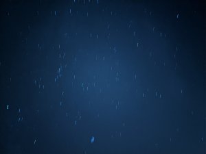 IMG_20191129_192919.jpg