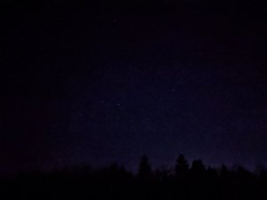 IMG_20191130_175416~3.jpg