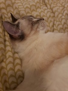 20191212_113753.jpg