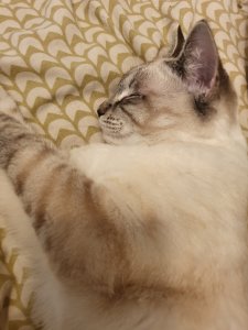 20191212_115623.jpg