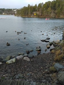 IMG_20191209_135035.jpg