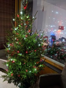 IMG_20191216_210729.jpg