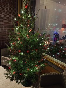 IMG_2455.JPG
