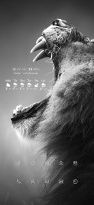 Screenshot_20191223_204946_com.teslacoilsw.launcher.jpg
