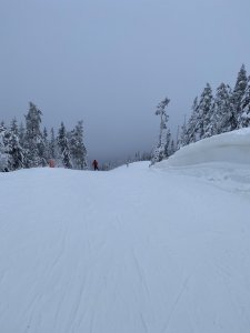 E7BC8404-A7CF-4B86-ABD0-4428B4D8FF61.jpeg