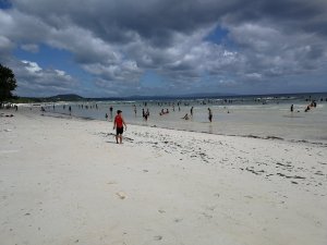 IMG_20200101_121652.jpg